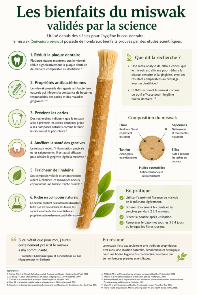 bienfaits du miswak