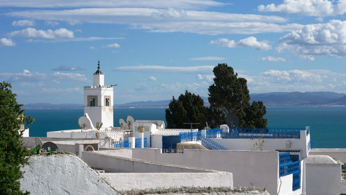 Sidi Bou Saïd avec ses maisons blanches et bleues surplombant la Méditerranée
