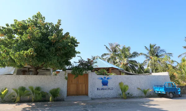 Blue World Dharavandhoo guesthouse plongee