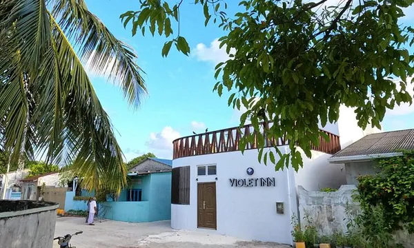 Violet Inn Dharavandhoo guesthouse village