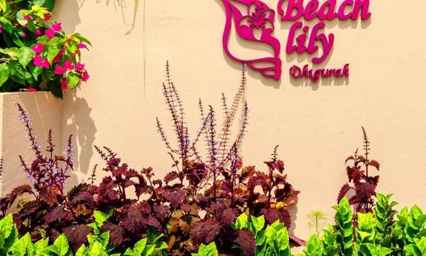 Beach Lily Dhigurah guesthouse