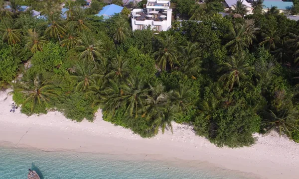 Boutique Beach Dhigurah diving hotel