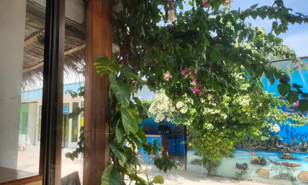 Manta Ray guesthouse Fulidhoo