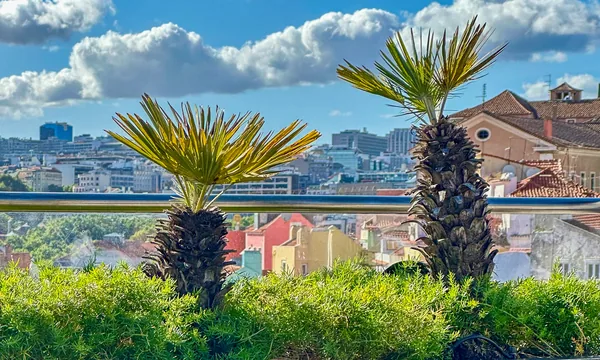 Rooftop du Hotel Mundial à Lisbonne, vue sur les toits et le Castelo de São Jorge