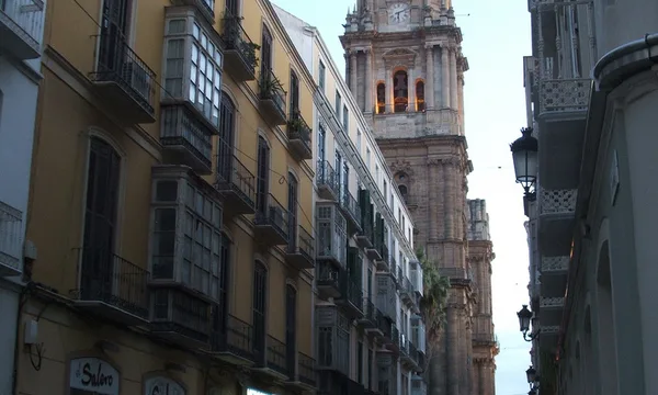 Molina Lario Malaga, hôtel 4 étoiles rooftop Cathédrale