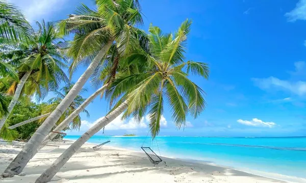 Aquatic Mathiveri guesthouse lagon