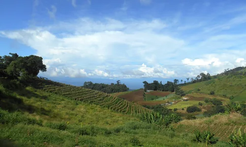 Mae Rim Chiang Mai zone rurale rizières éléphants Nord vieille ville