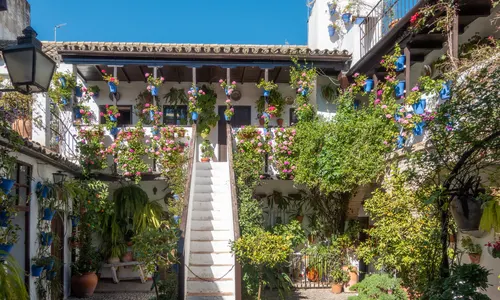 Quartier San Basilio Cordoue, patios fleuris