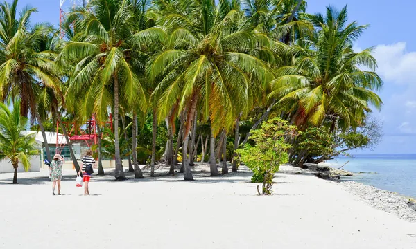 Bikini beach Dharavandhoo sable clair