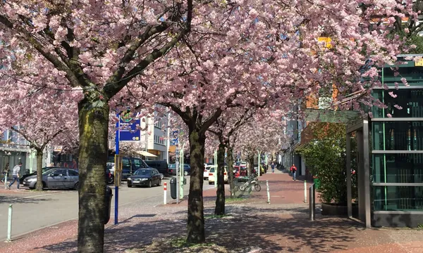 Rüttenscheid, Essen