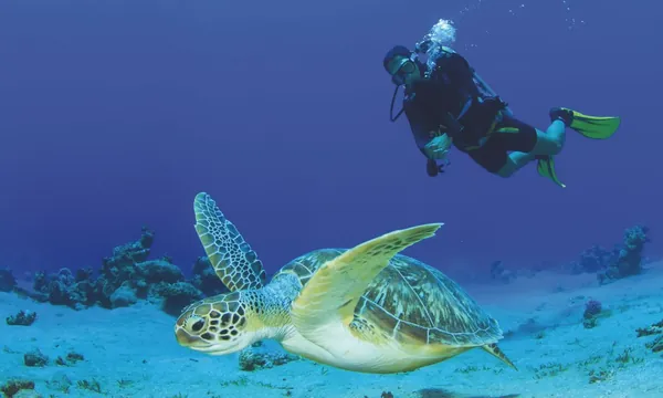 Lagon emeraude Fulhadhoo snorkeling