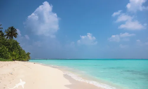 Bikini beach Fulidhoo plage visiteurs
