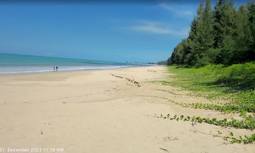 Bang Sak Beach Khao Lak nord plage isolée nature