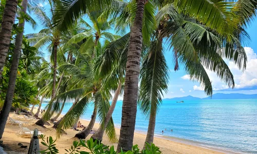 Maenam Beach Koh Samui plage nord longue calme peu touristique