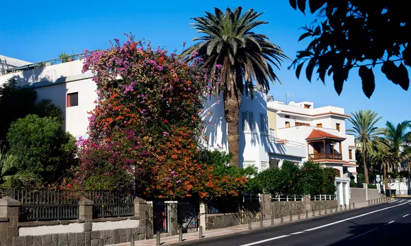 Parc Doramas, Ciudad Jardín