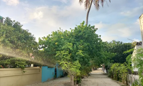 Centre village Maafushi rues sable mosquee commerces