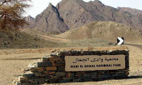 Wadi el Gemal, Marsa Alam