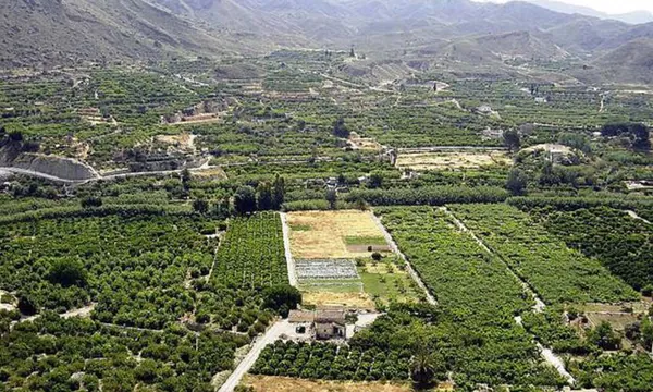 Noria de la huerta de Murcie