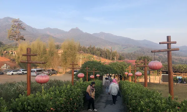Point de vue de Yun Lai, Pai