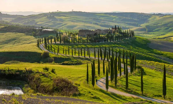 Val d'Orcia, cyprès de Toscane