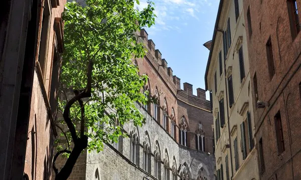 Via di Città, Sienne