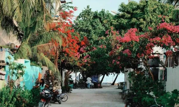 Village Thulusdhoo ateliers artisans