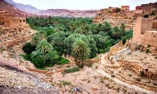 La palmeraie du Todgha, de Tiydrine à Asfalou, Tinghir