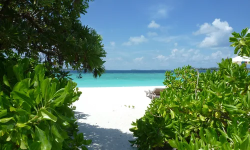 Pointe nord Ukulhas plage sauvage vegetation