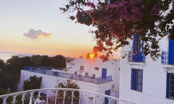 Dar Said, Sidi Bou Saïd