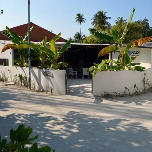 Huraa ile mangrove Maldives