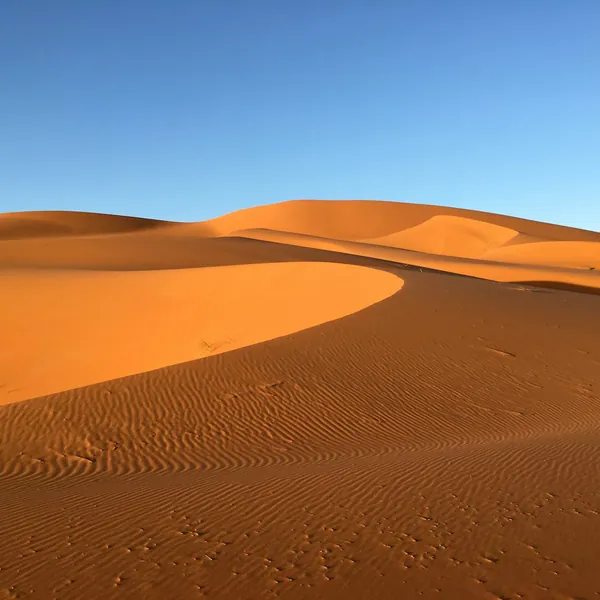 Merzouga