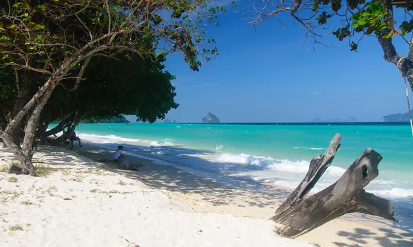 Trang